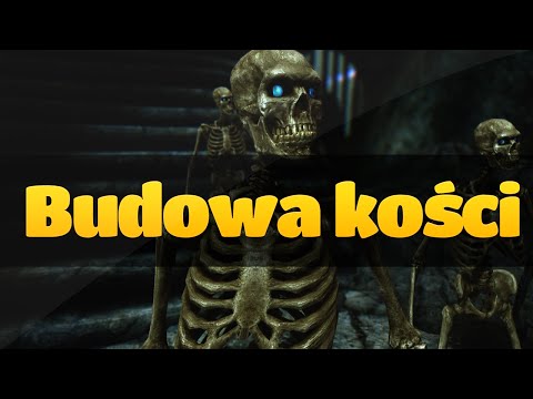 Ćwiczenia na mięśnie nóg dla dziewczynek Ćwiczenia na dolne mięśnie klatki piersiowej w domu
