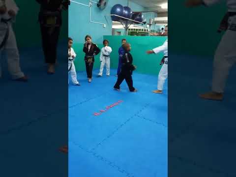 Vinicius Abrahao jiu-jitsu