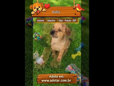 Vídeo de Raffa