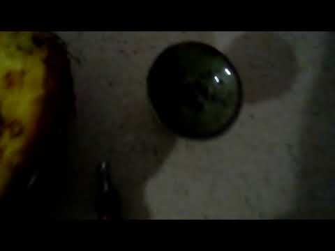 Shisha Albania | Si te bejme nje koke prej Ananasi | Videoja del pas pak