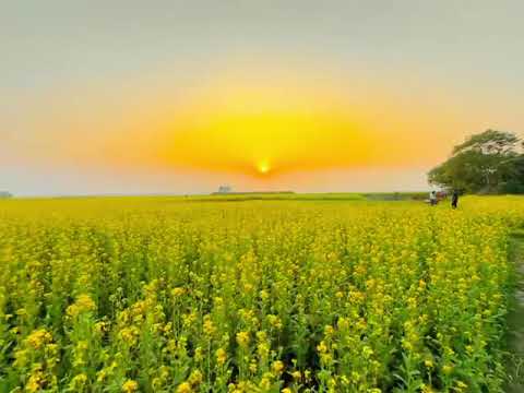 #everyone #ihavethisthingwithplants #winter #love 