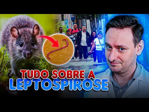 Leptospirose desvendada: Tudo o que você precisa saber!