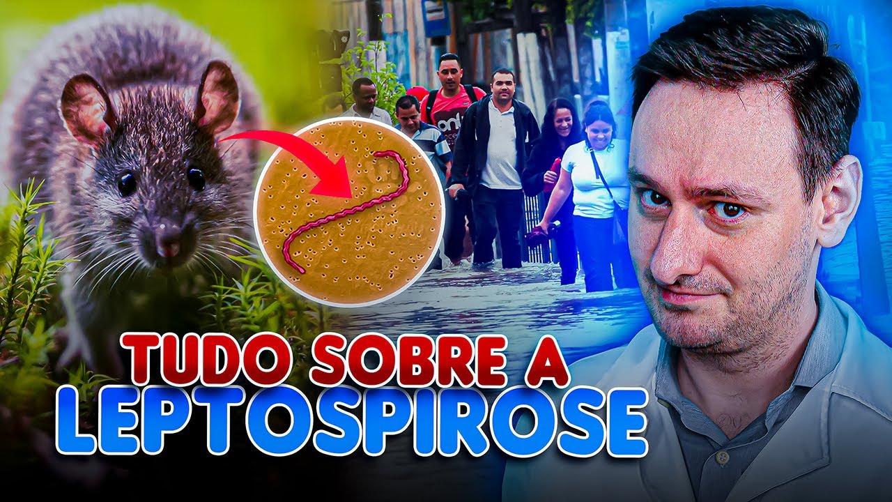 Leptospirose desvendada: Tudo o que você precisa saber!