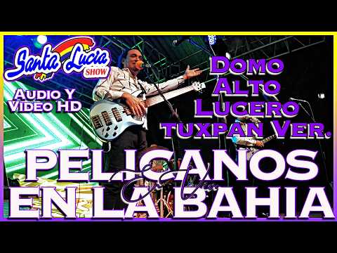 Pelicanos En Bahia En Vivo - Santa Lucia Show - Domo Alto Lucero Tuxpan