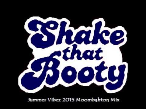 Shake That Booty Summer Vibez 2015 Moombahton Mix by Robbie Rhytmo [download in description]