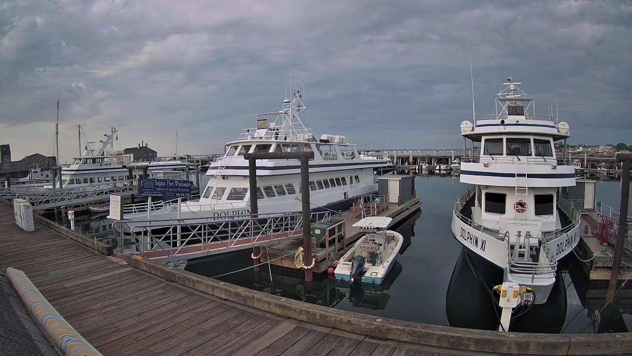Live webcam view of MacMillan Pier, Provincetown Harbor