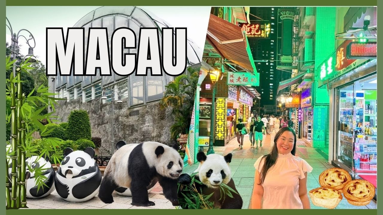 Join tourist exploring Macau street food & The Great Panda Pavillion