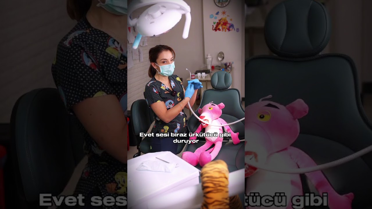 Hande İlgin Şişman-2