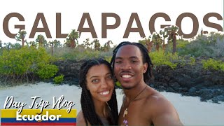 Visit the Famous GALAPAGOS ISLANDS, ECUADOR | Galapagos Animals | Galapagos Beaches | Attractions