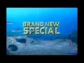Spongebob Promo S