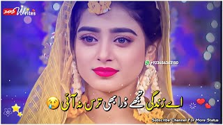 Ay Zindgi Tojhy Zara Bhi  || Sad Pakistani Drama Song WhatsApp Status || Sahir Ali Bagga Ost status