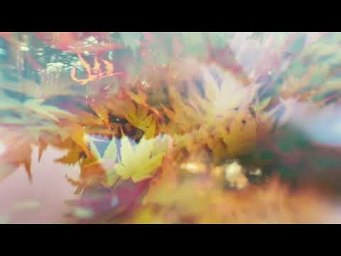 Tyler Ramsey and Carl Broemel