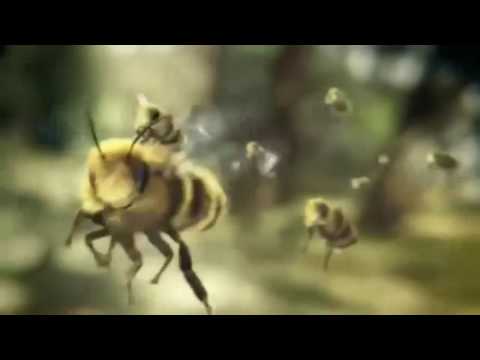 015   Video Motivasi Kerjasama Serangga
