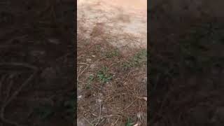 Racing boy Quảng Ninh và màn up vỉa cực chất 