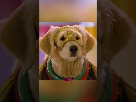 مشهد بطولي لفرقة كلاب تُعيد الحق لأصحابه 🐶✨