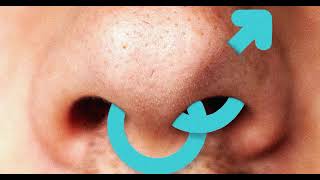 The Price of Growth: Why Users Fear the ‘Straightification’ of Sniffies