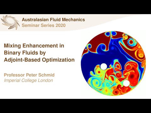 AFMS Webinar 2020 #18 - Professor Peter Schmid (Imperial College London)