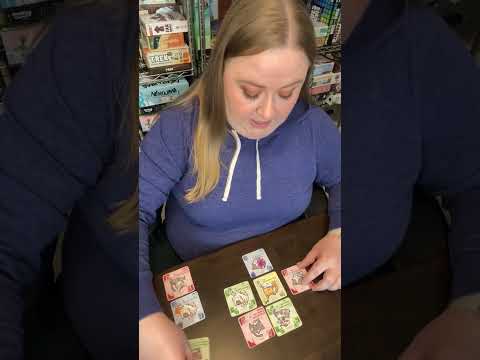 Cat Sudoku: Summer Festival How to + My Thoughts