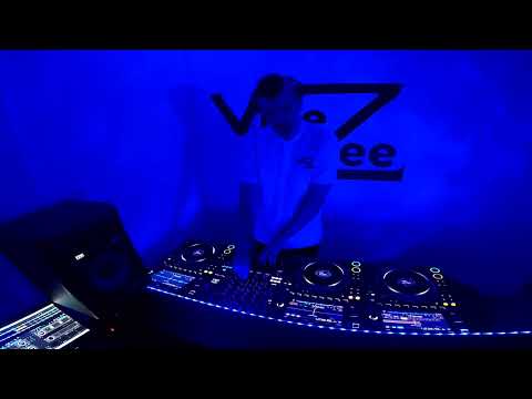 Vibezee - Drum & Bass Mix 5 (Jungle x Liquid & Dancefloor)
