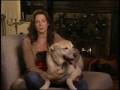 Sarah McLachlan "Silent Night" SPCA Commercial