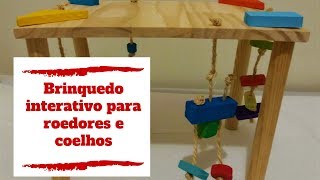Vídeo de Playground Interativo para Roedores e Coelhos Little Dreams