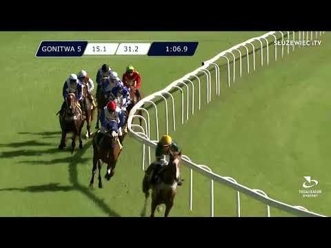 Nagroda Soliny (Specjalna) - (kat.b) 11.06.2022 - (Dzień 12; Gonitwa 5)