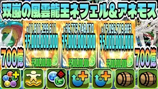 【パズドラ】双嵐の風雲龍王ネフェル＆アネモス！一撃700億！ネフェル＆アネモス×サブマリモン！ネフェル＆アネモス×サブマリモン×及川徹ループ！14周年記念コロシアム！