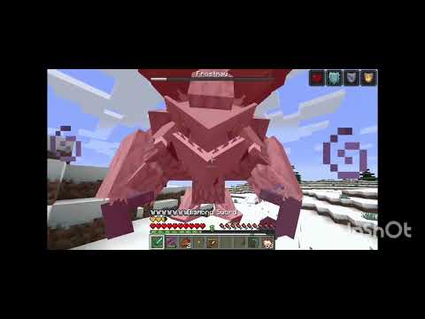 Unbelievable! Overpowered Player Defeats All Minecraft Bosses
