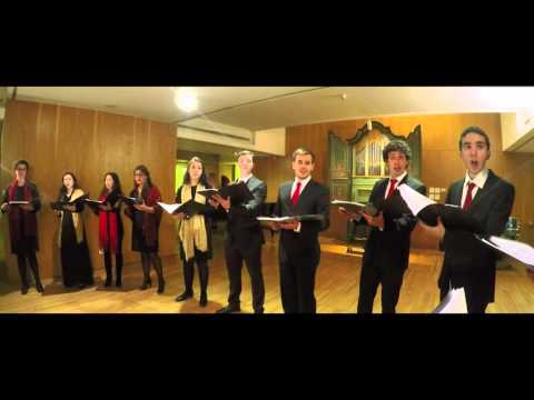 Carol of the Bells - Mikola Leontovych (Lisboa a Cappella)
