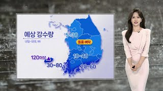 [날씨] 내일 전국 곳곳 비바람…제주·남해안 많은 비 / 연합뉴스TV (YonhapnewsTV)