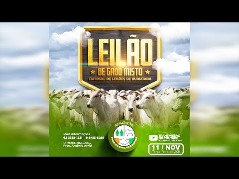 AO VIVO - Leilão de Gado Misto - 11/11/2025 - Sindicato Rural de Rubiataba