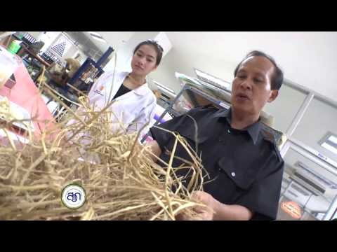 ข้าวแรงโจ๊ก วิธีการเพิ่มขนาดอวัยวะเพศชาย