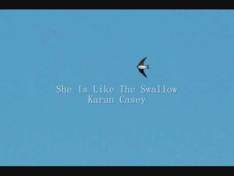 She's like the swallow cover