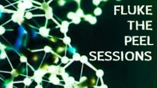 Fluke - The Peel Sessions (1990 / 1992)