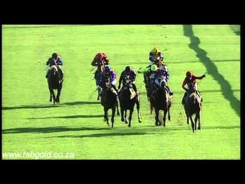 20160420 Greyville Race 6 won by BROOKLYN BRAWLER