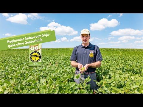 Regionaler Anbau von Soja - ganz ohne Gentechnik