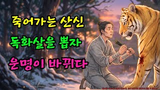 Download lagu 목숨 걸고 산신의 상처를 치료한 효자가 하룻밤 만에 조선 최고의 부자가 된 사연 |야담 |옛날이야기 |민담 |전설 | 설화 mp3