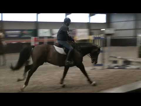 Jacadello by Cascadello I x Lordanos