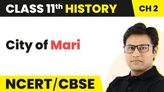 City of Mari - Writing and City Life | Class 11 History