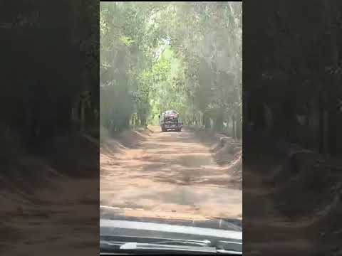 Veículo roubado em Sooretama é recuperado numa estrada de Córrego Farias.
