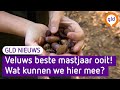 GLD Nieuws 19 oktober 2022