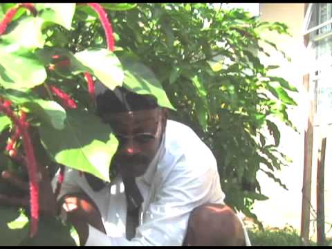 Confessions -  Blackie