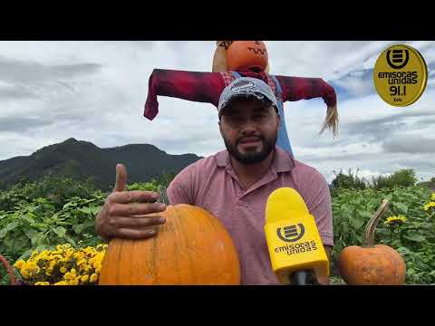 CONOCIENDO LAS CALABAZAS EN QUETZALTENANGO 