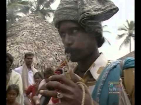 Ray Mears' World Of Survival S02E04 - The Coromandel Coast