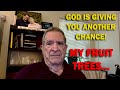 God Is Giving You ANOTHER CHANCE My Fruit Trees