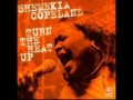 Shemekia Copeland - It Don't Hurt No More 