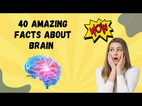40 Amazing Facts about Brain in Hindi