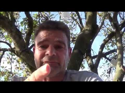 Koi 2019-4 - Ikeage 2019 - Koi in der Wanne!