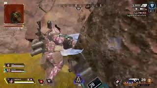 apexフルパ