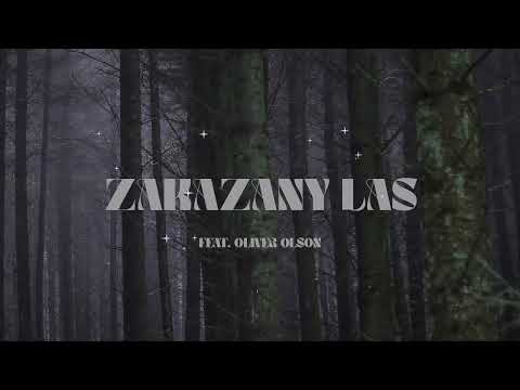 BeCeKa feat. Oliver Olson - Zakazany Las (prod. HVZX)
